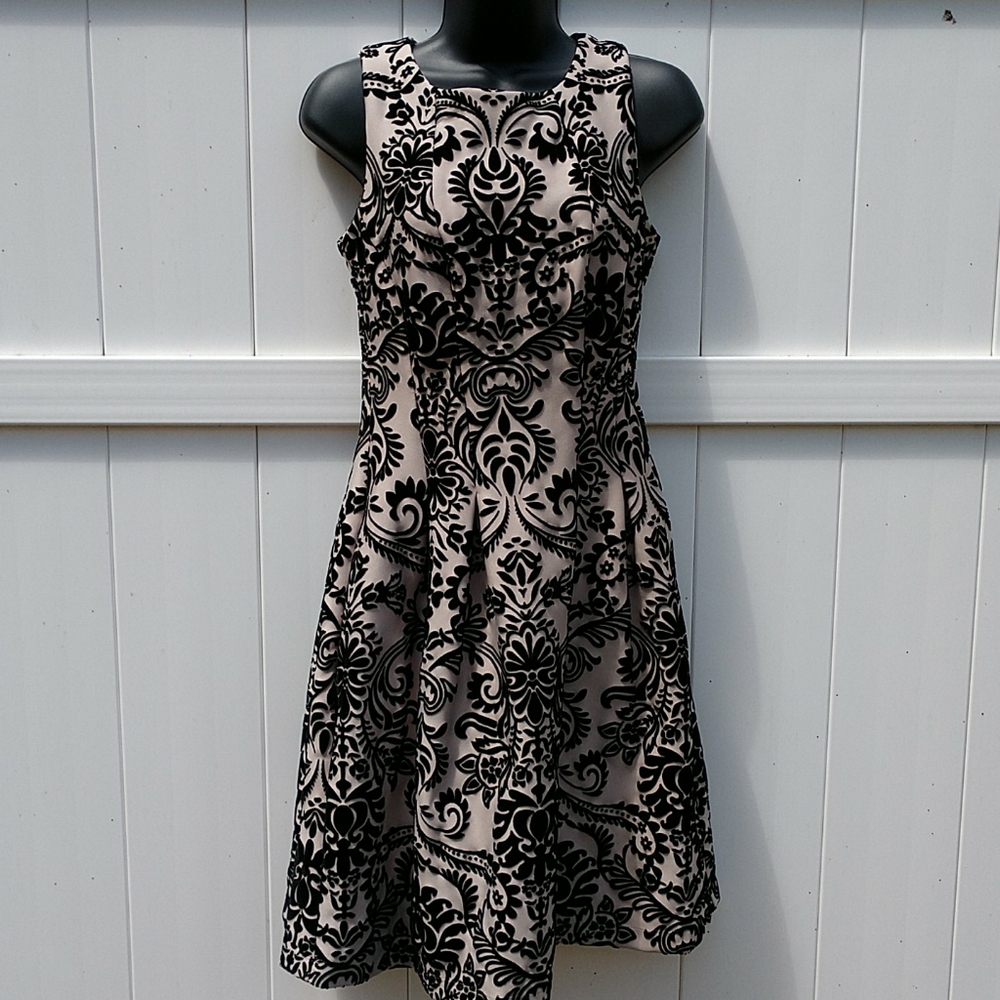 NWOT Gabby Skye Velvet Flare Dress 4